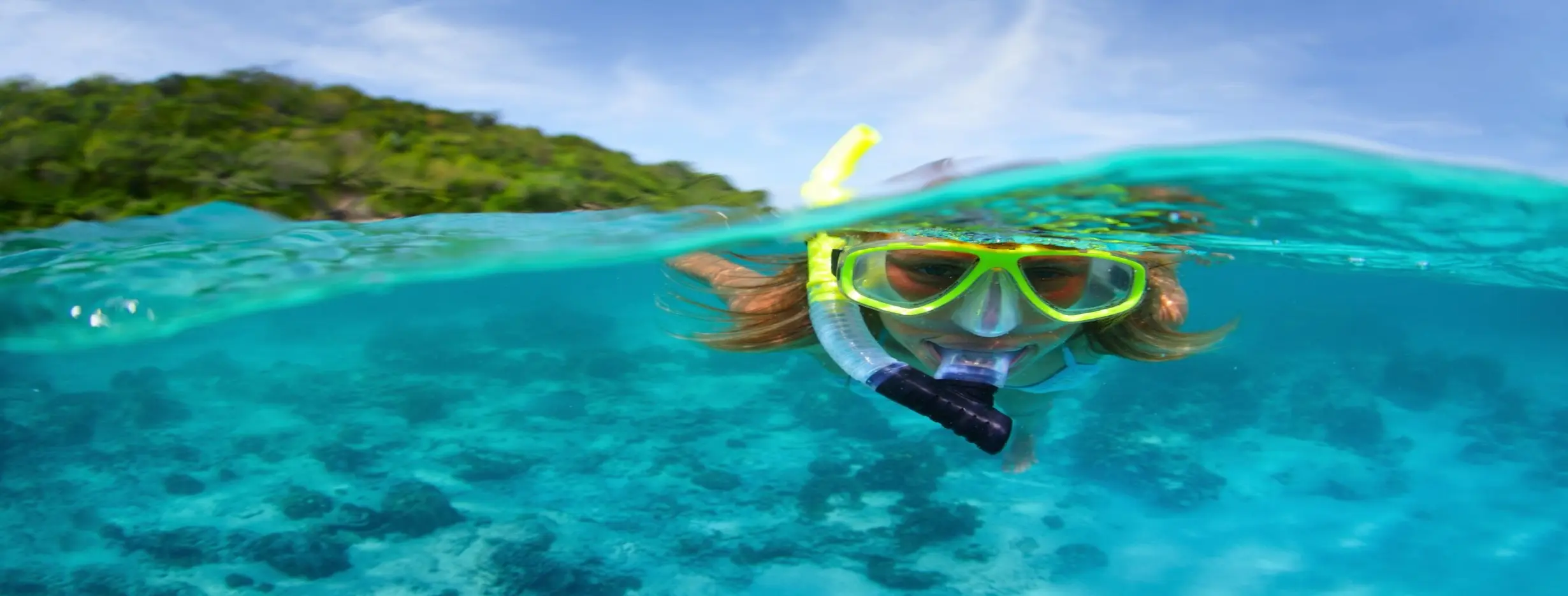 Image for Snorkel Safari